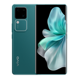 Vivo v30