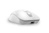 A4Tech FG16CS Air Dual-Function Air Mouse