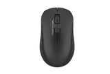 A4Tech FG16CS Air Dual-Function Air Mouse